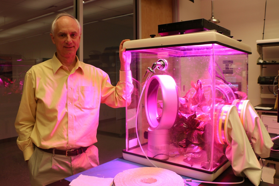 Lackner Physicist Klaus Lackner stands beside a miniature greenhouse in his lab at ASU's Center for Negative Carbon Emissions, in which he's testing out the properties of his "artificial tree.